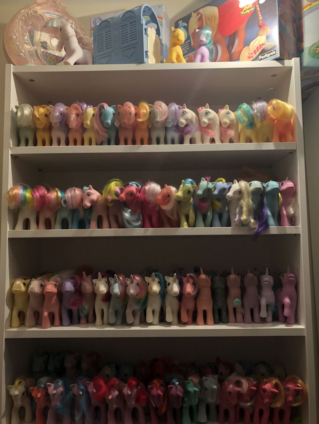 G1 Shelf 1